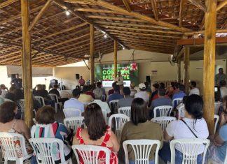 Programa “Conilon Eficiente” gera R$83 milhões em resultados nas propriedades