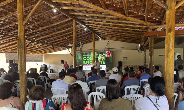 Programa “Conilon Eficiente” gera R$83 milhões em resultados nas propriedades