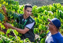 Propriedades rurais capixabas recebem mais de 100 mil visitas da ATeG de forma 100% gratuita