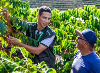 Propriedades rurais capixabas recebem mais de 100 mil visitas da ATeG de forma 100% gratuita