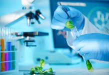 Brasil se destaca em congresso global sobre bioinsumos e agricultura sustentável