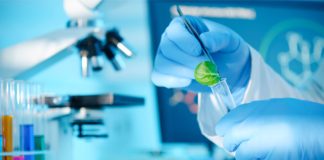 Nova lei impulsiona produção de bioinsumos no Brasil