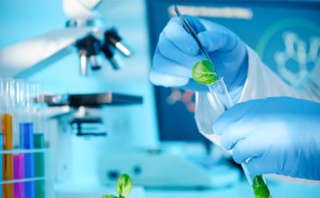 Nova lei impulsiona produção de bioinsumos no Brasil