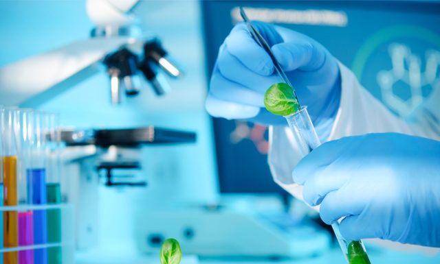 Nova lei impulsiona produção de bioinsumos no Brasil