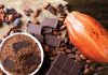 Às vésperas da Páscoa, cacau encarece 130% e pressiona mercado de chocolates no Brasil