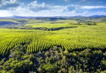 Responsabilidade socioambiental: um compromisso com o futuro