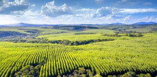 Responsabilidade socioambiental: um compromisso com o futuro