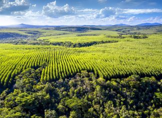 Responsabilidade socioambiental: um compromisso com o futuro