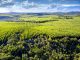 Responsabilidade socioambiental: um compromisso com o futuro