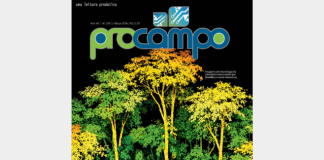 Nova edição da Revista Procampo já circula e destaca inovação no agro capixaba